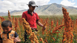 Timeline: Políticas de nutrición en México