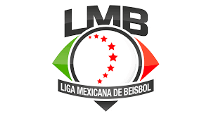 Liga profesional