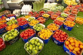 Creación del Programa de apoyo al comercio ejidal y DIF