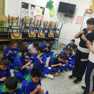 Timeline: Proyecto pedagógico Colegio Nuevo Paraiso