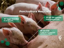 Porcicultura en Sonora
