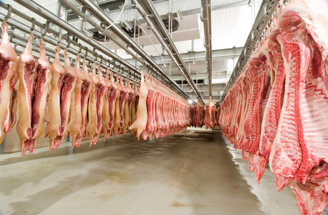 PROHIBICIÓN E IMPORTACIÓN DE CARNES INFECTADAS