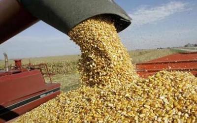 Almacenes Nacionales de Depósitos Comité Regulador del Mercado de Trigo Comité Regulador del Mercado de Subsistencias Populares