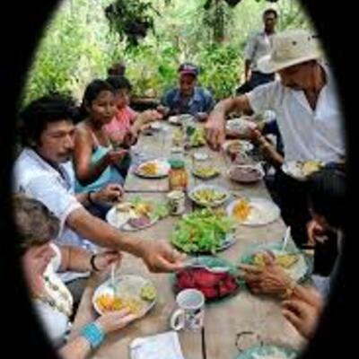 Timeline: Políticas y programas de alimentación y nutrición en México