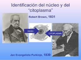 Robert Brown