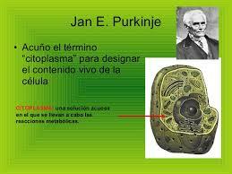 Jan E. Purkinje