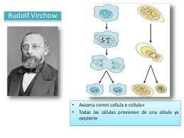 Rudolf Virchow