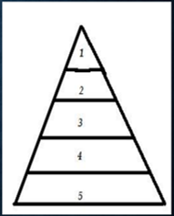 Modelo Interdisciplinario