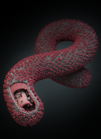 EBOLA