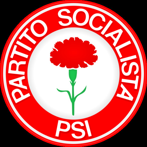 The socialist party