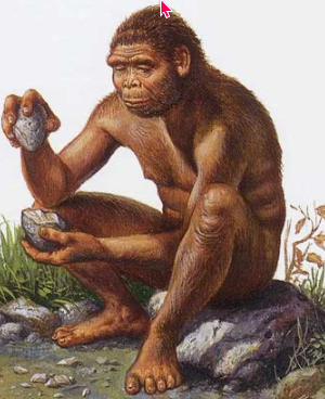 Homo Erectus