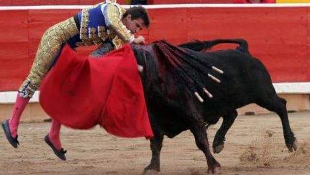 Stierengevechten verboden