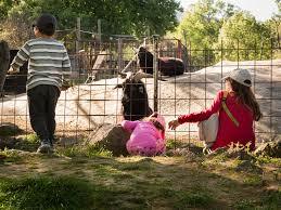 primeres colònies amb l'escola