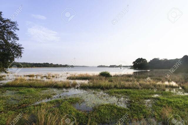 Presa de Minneriya, Sri Lanka
