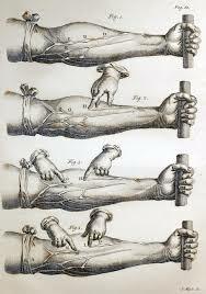 La circulació de la sang