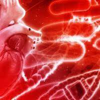 Descobriment de la sang