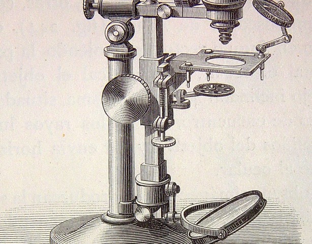 El microscopi compost