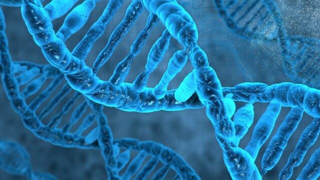 Descubrimiento del ADN