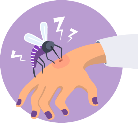 PREVECION DE LA MALARIA