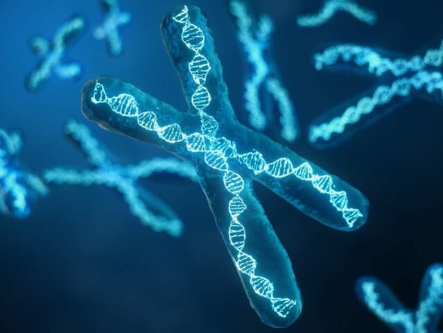 IDENTIFICACION EN LOS GENES EN EL GENOMA HUMANO