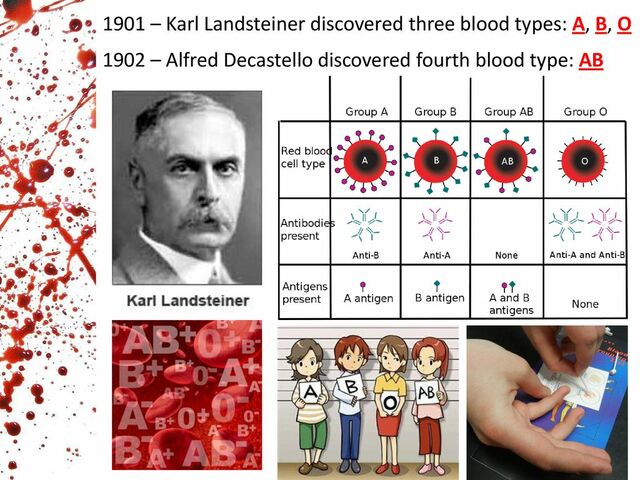 Alfred Decastello discovered fourth blood type: AB