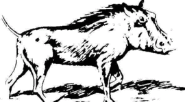 Timeline: Evolución del cerdo hasta nuestros días (antecedentes históricos)