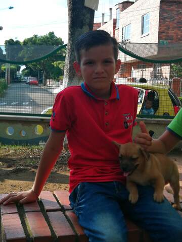 tuve mi primera mascota