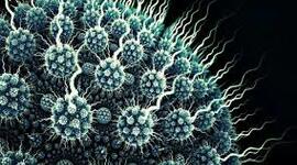 Timeline: Linea de tiempo de Virologia