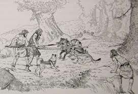 Origen de la domesticación