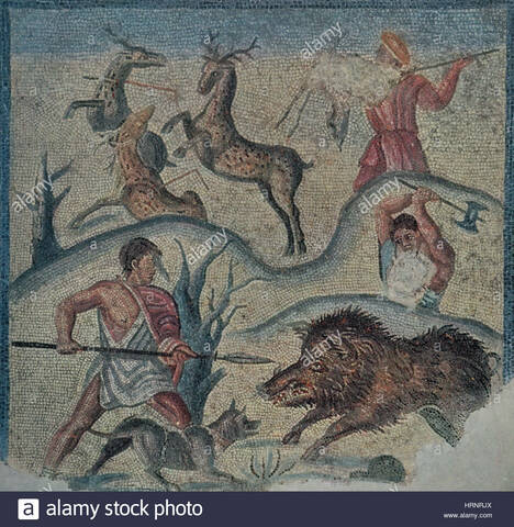 cautividad de los cerdos