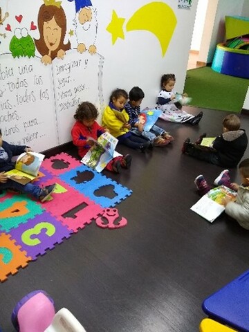 Motivo de la intervención