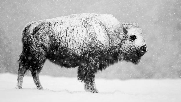 .05 millions of years ago