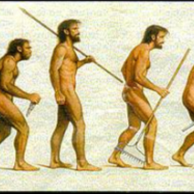 Timeline: Historia de la Ergonomía