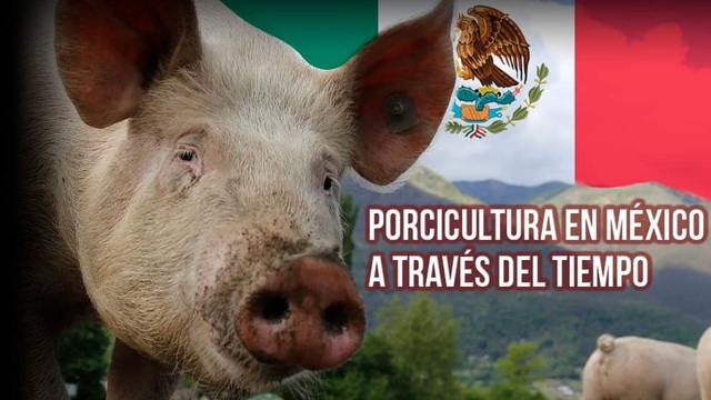 Evolución de la porcinocultura en México