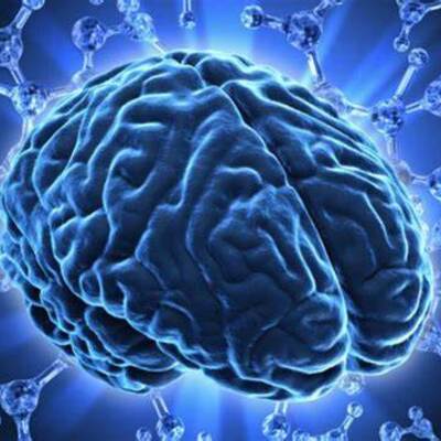 Timeline: La Neuropsicología en el tiempo