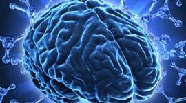 Timeline: La Neuropsicología en el tiempo