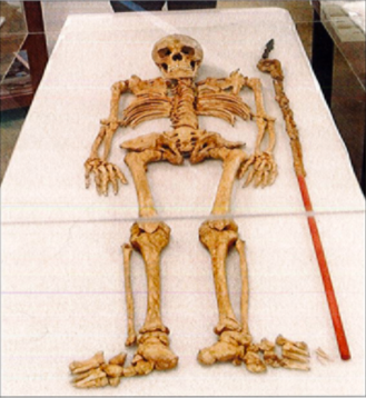 Bartholomew Gosnold timeline Timetoast timelines