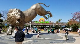 Timeline: History of San Diego's zoo.