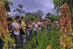 Codigo nacional de recursos naturales renovables y proteccion al medio ambiente