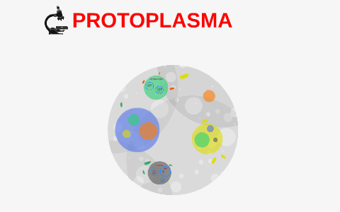 Identifican los Protoplasma