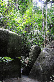 Política de educación ambiental nacional