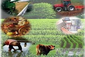 Subsidio a la producción