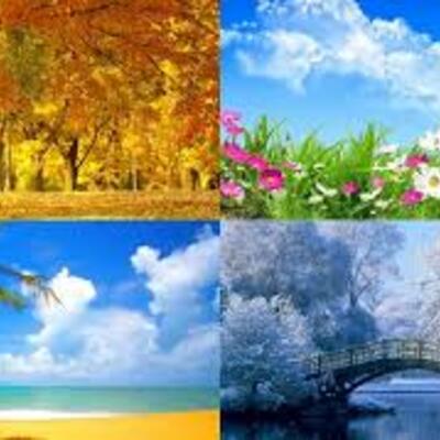 Timeline: Las estaciones del año