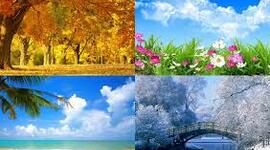 Timeline: Las estaciones del año