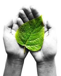 Indicadores Balance Social (1996)