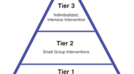 Timeline: RtI Process