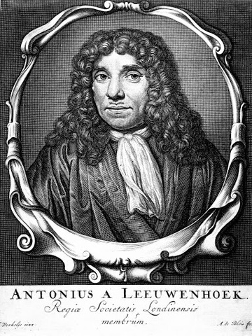 Anton Van Leeuwenhoek