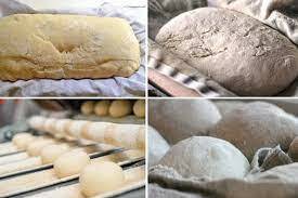 Fermentación del Pan