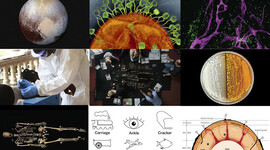 Timeline: Desarrollo histórico de las aportaciones significativas de la ciencia e innovaciones tecnológicas