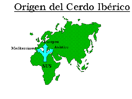 Origen del cerdo